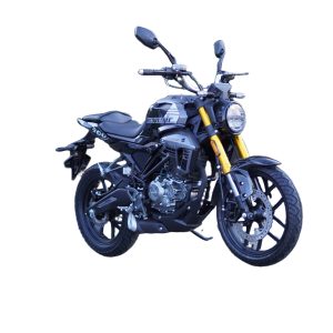 Мотоцикл GENERIC BANDIT 300